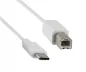 Preview: DINIC USB Kabel Typ C Stecker auf USB 2.0 B Stecker, unterstützt Schnellaufladung bis 5A, weiß, 2m