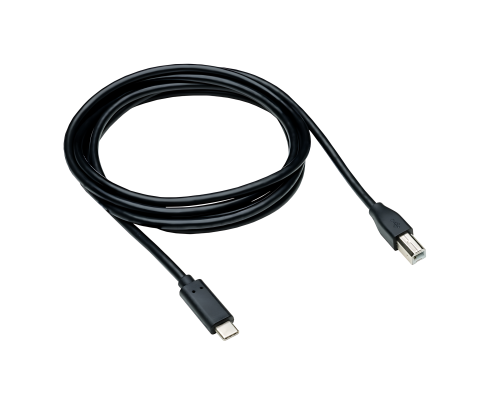 DINIC USB Kabel Typ C Stecker auf USB 2.0 B Stecker, schwarz