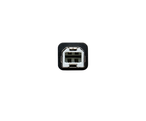 DINIC USB Kabel Typ C Stecker auf USB 2.0 B Stecker, schwarz, 0,5m