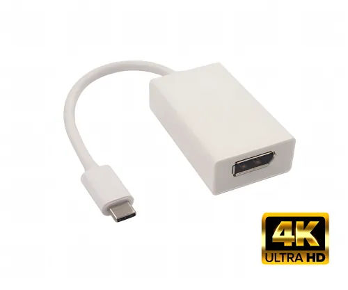 DINIC Adapter USB 3.2 Typ C Stecker/DisplayPort Buchse 4k bei 60Hz